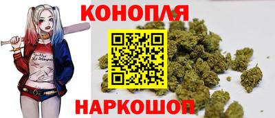 шишки Коммунар