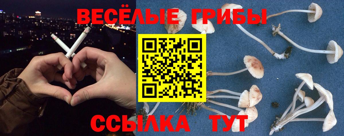 Галлюциногенные грибы прущие грибы Екатеринбург